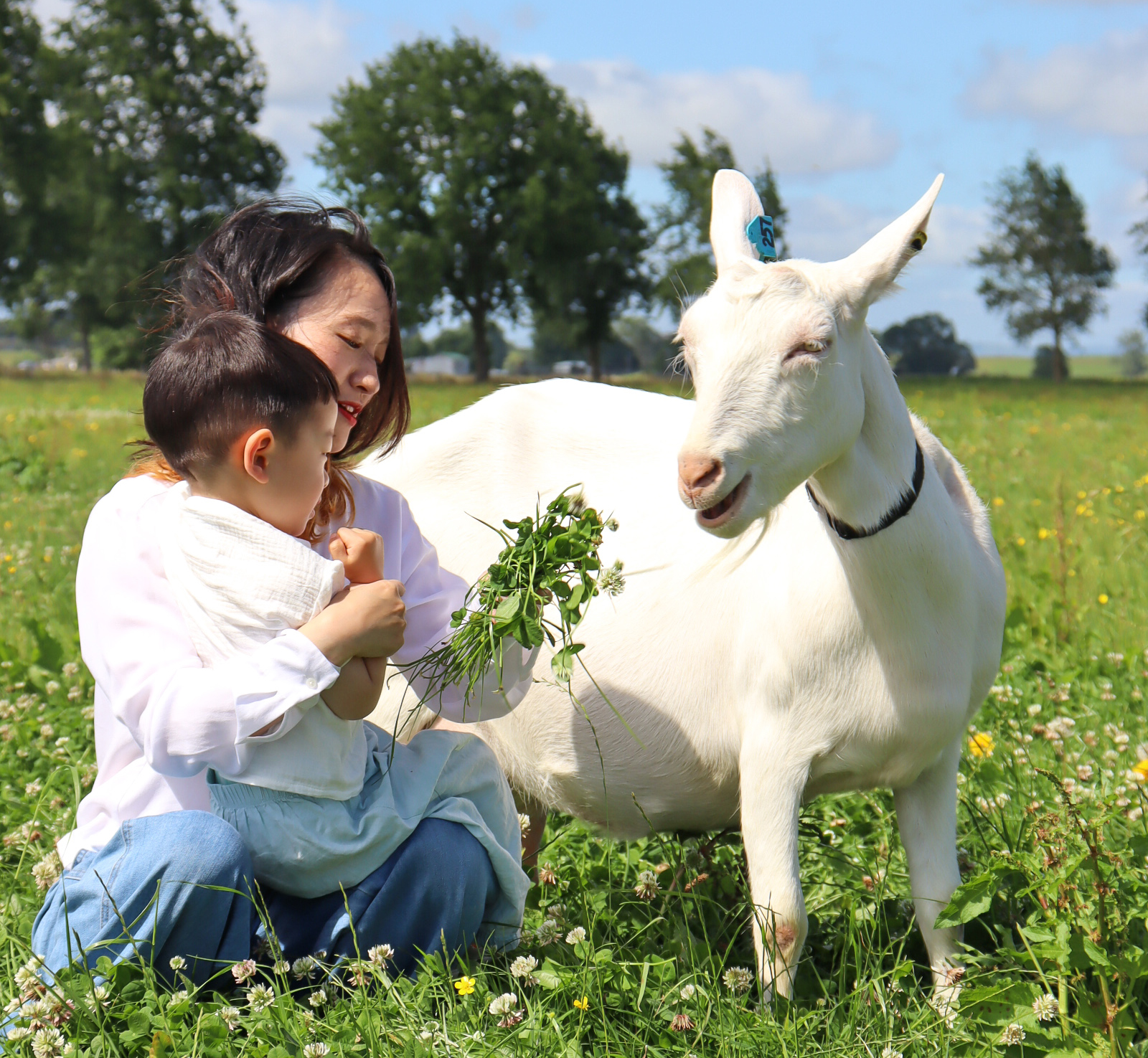 ¿Conoces los beneficios de la leche de Cabra como fórmula infantil para tu bebé?