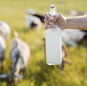 <strong>Beneficios de la leche de cabra frente a la de vaca para bebés sensibles</strong>